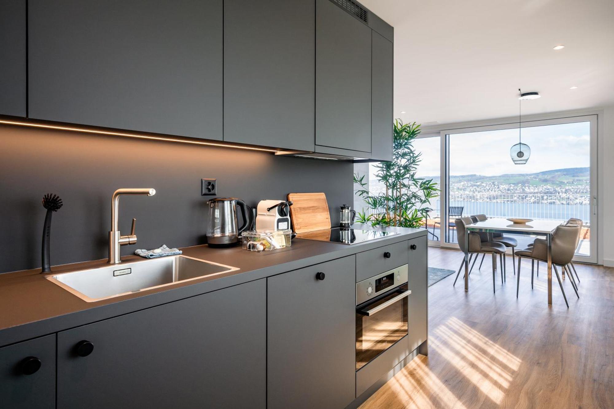 Aestate Living Lakeview In Horgen Zuerich Zug Pfaeffikon Exterior foto